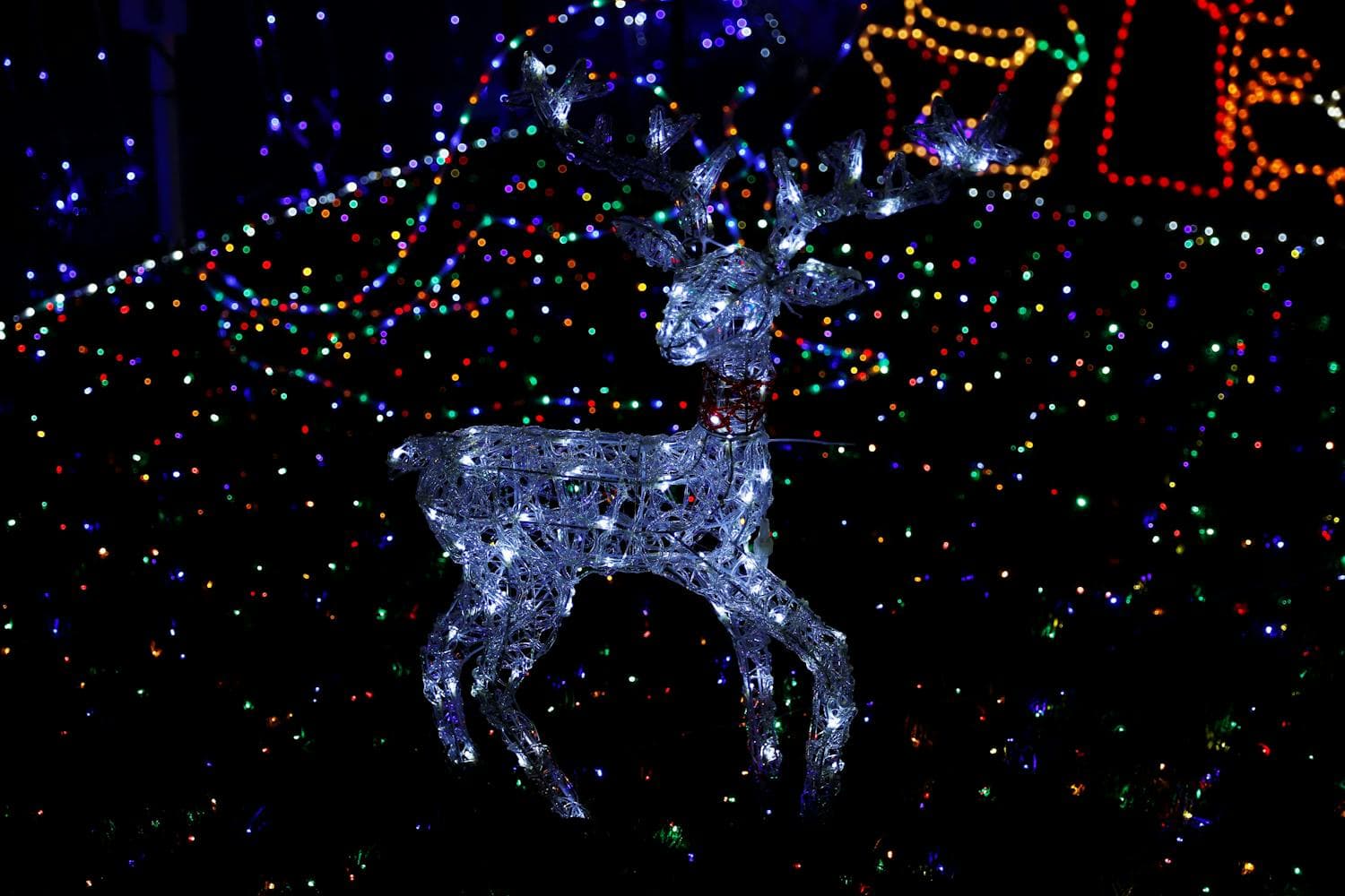 A glowing reindeer light decoration standing on a dark lawn at night, surrounded by a halo of soft warm Christmas lights, the kind of focal-point yard tableau that does heavy visual work on a ranch home's open front yard