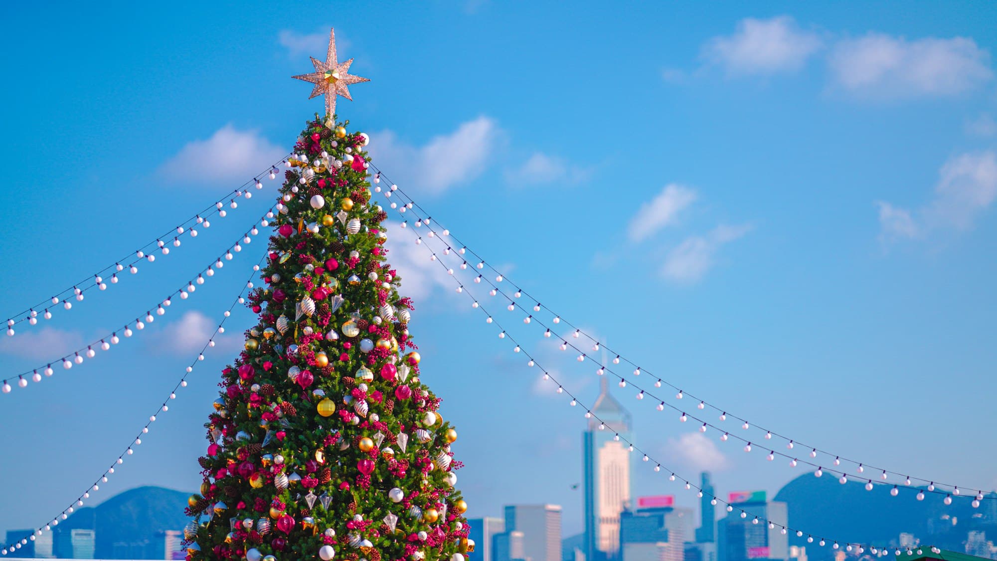 A large lit Christmas tree in front of the Hong Kong city skyline at night