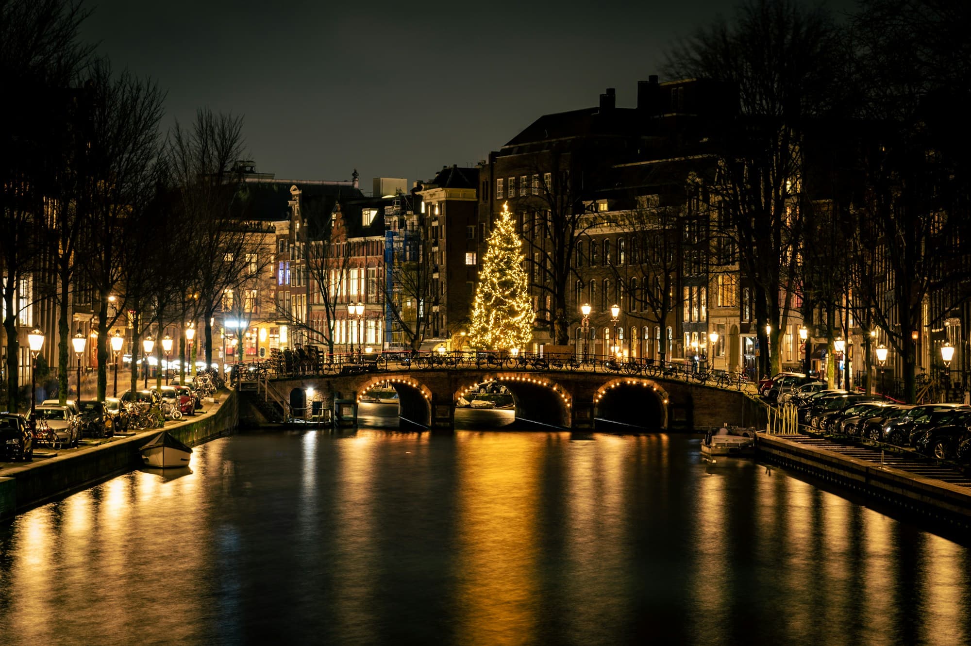 A tall illuminated Christmas tree stands on a stone arched bridge over an Amsterdam canal at night, its warm yellow lights reflected in the still water below, with tall Dutch canal houses lit from within along both banks and bare winter trees framing the scene