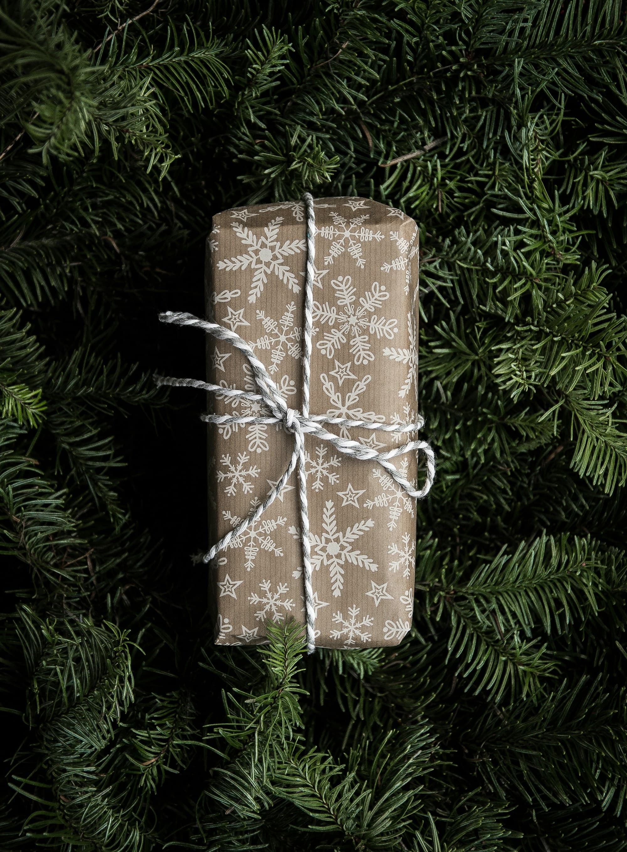 A single kraft-paper Christmas gift box with snowflake-patterned wrapping and a white twine bow, resting on dark evergreen branches