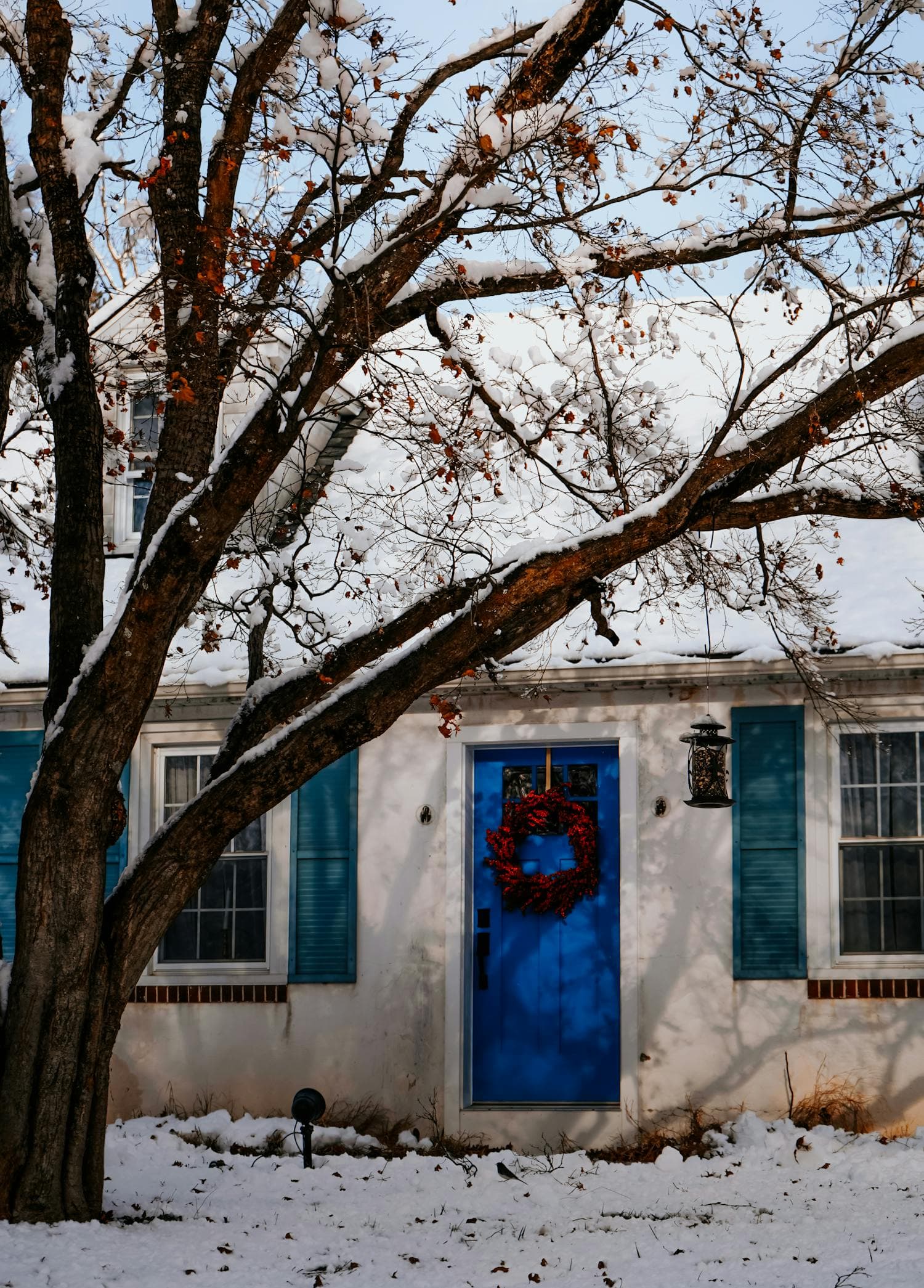 Cape Cod-style clapboard cottage in winter, white siding, blue door and shutters, berry wreath on the front door, snowy yard with a bare oak tree framing the view