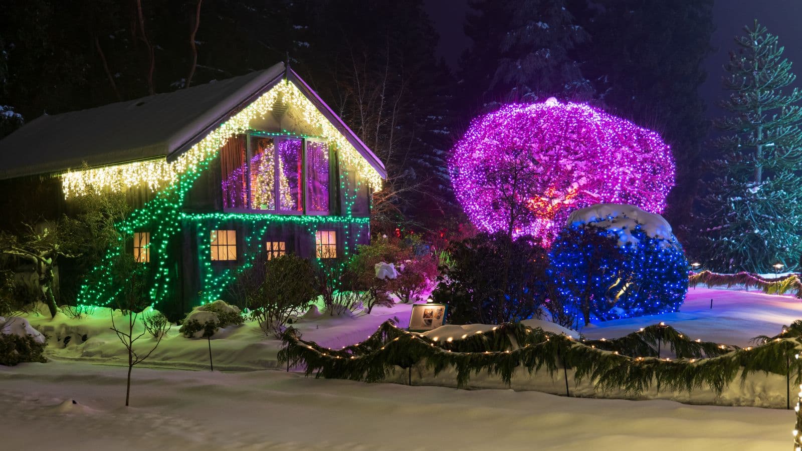 A snowy cottage at night strung with multicolored Christmas lights, with brightly lit shrubs and a lit garland fence in the foreground