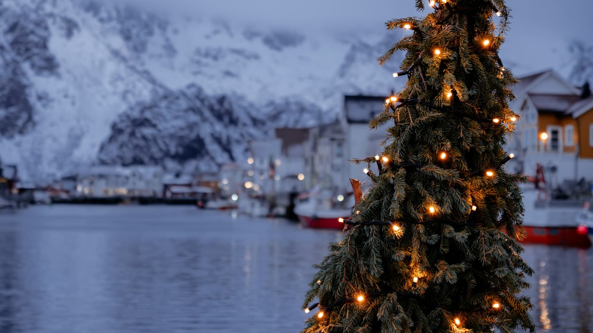 A lit outdoor Christmas tree beside the water at dusk in Henningsvær, Norway